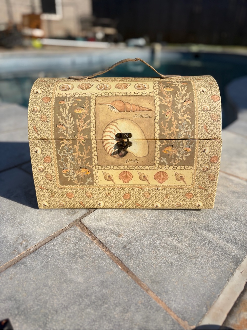 Seaside Shell Decorative Storage Chest Betty Whiteaker- Beige
